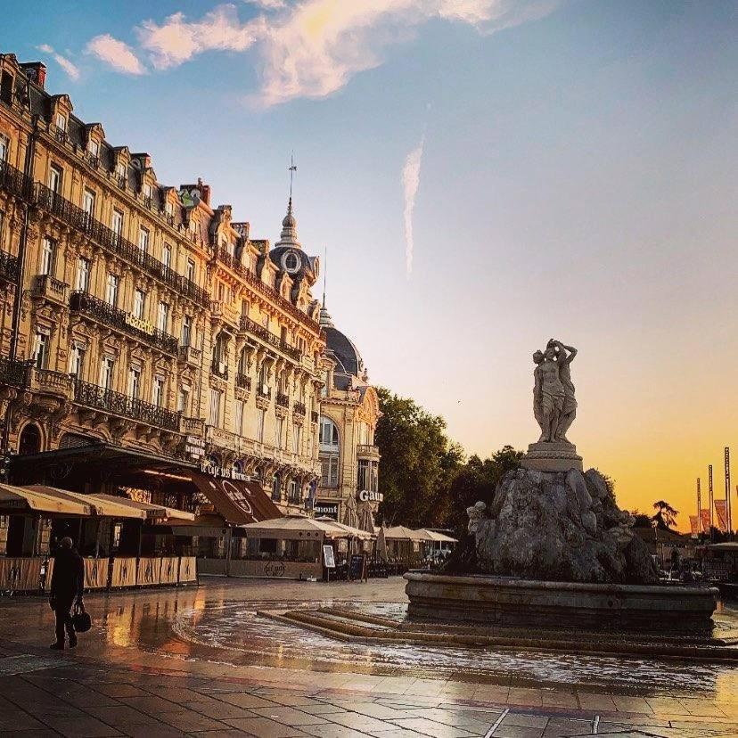Le Cocon Montpellierain By Smartappart Montpellierain - Jardin Proche Corum 외부 사진